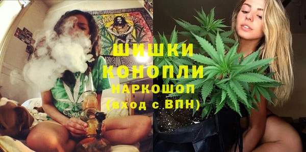 марки nbome Вяземский