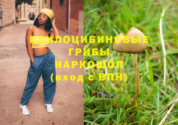 марки nbome Вяземский