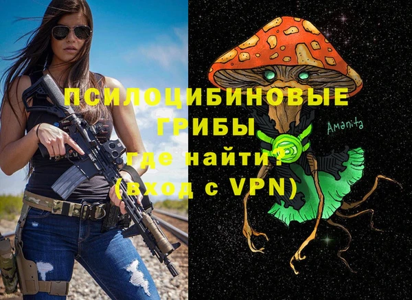 соль ск Вязники